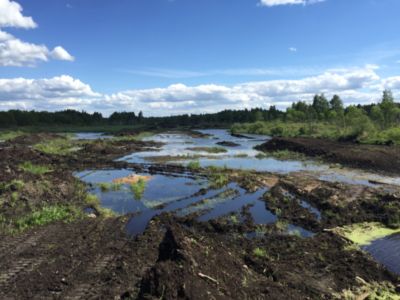 Торф верховой